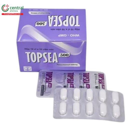 topsea 500 1 B0581