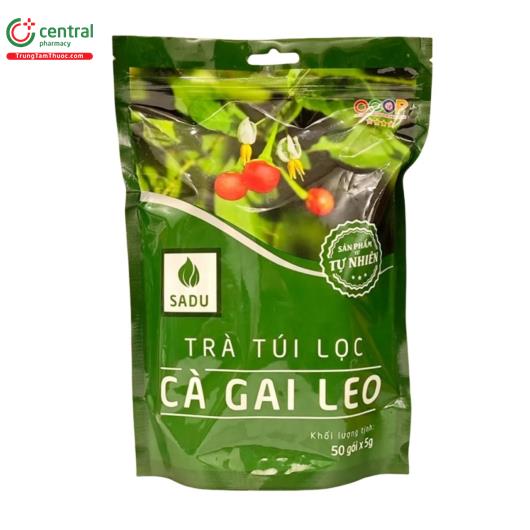 tra tui loc ca gai leo sadu 1 G2482