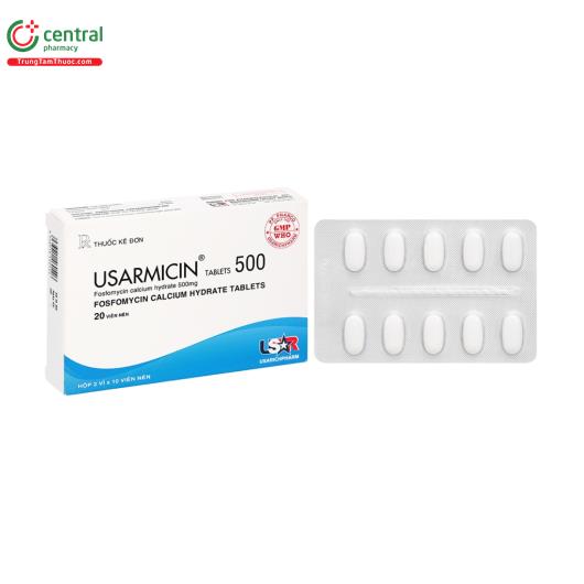 usarmicin tablets 500 1 U8857