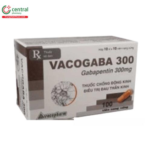 vacogaba 300 H3122