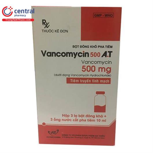 vancomycin 500 at 1 H3821