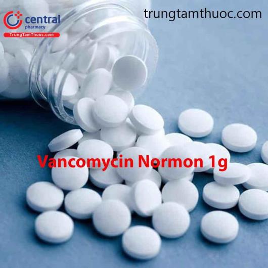 vancomycin normon 1g 1 L4886
