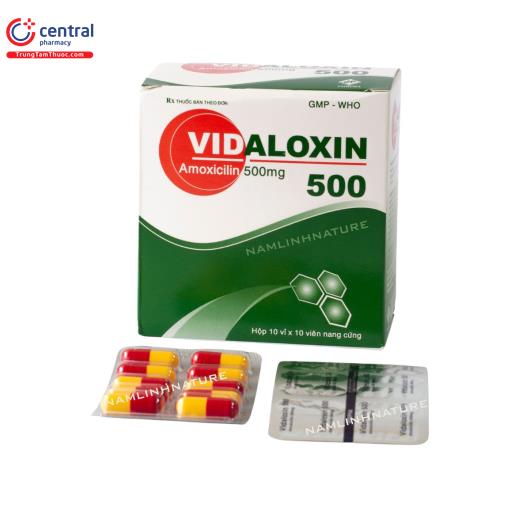 vidaloxin 500 1 Q6846