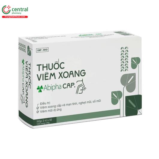 viem xoang abipha cap 2 N5128