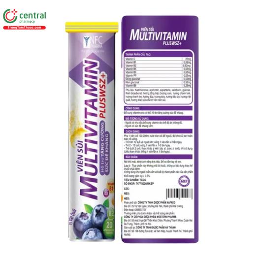 vien sui multivitamin pluswsz 1 N5553