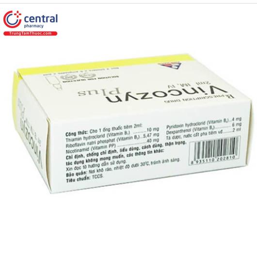 vincozyn plus 2 D1108