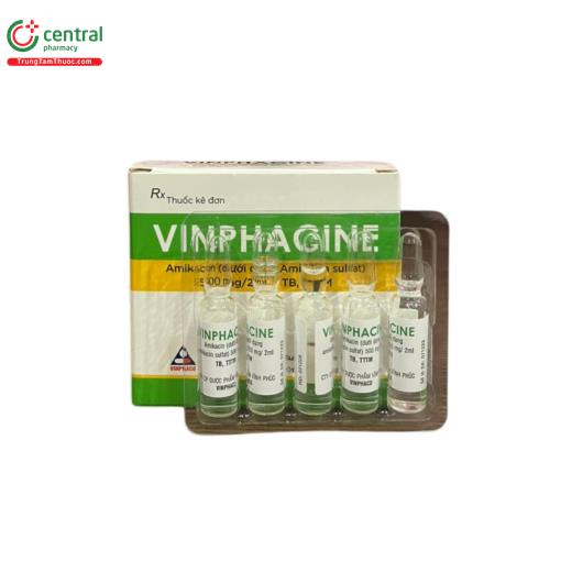 vinphacine 500mg 2ml 1 T7638