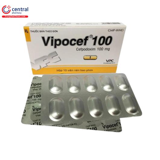 vipocef 100 1 N5356