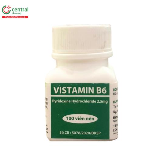vistamin b6 1 N5381