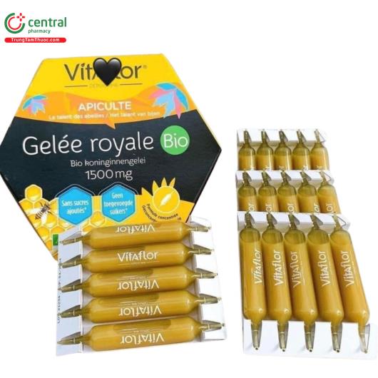 vitaflor gelee royale bio 1500mg 1 U8732