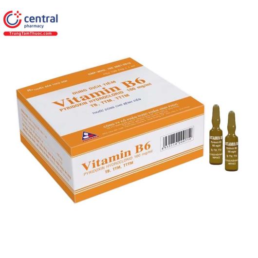 vitamin b6 100mg ml vinphaco 1 A0601
