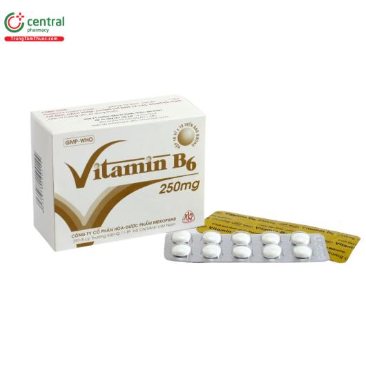 vitamin b6 250mg mekophar 1 V8003