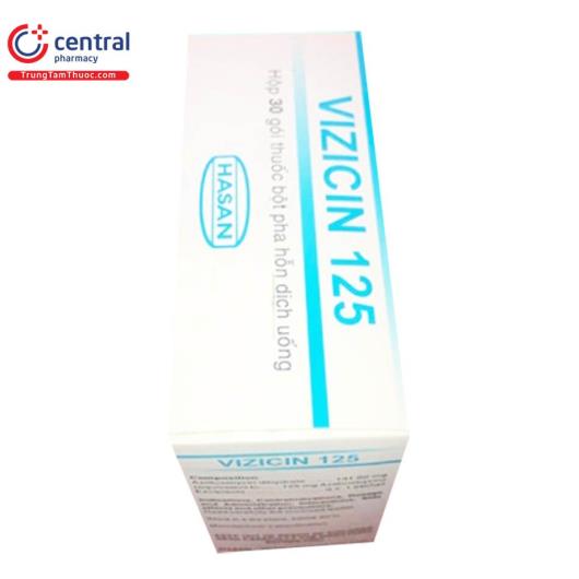 vizicin1258 V8112