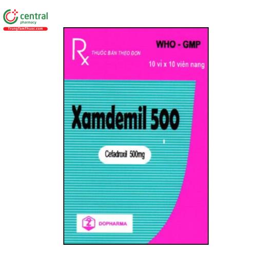xamdemil 500 1 E1723