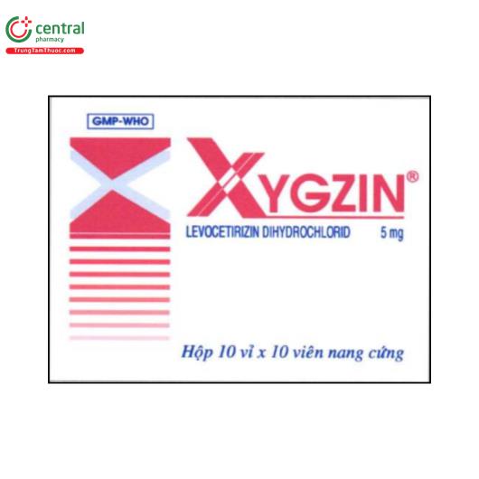 xygzin 1 V8216