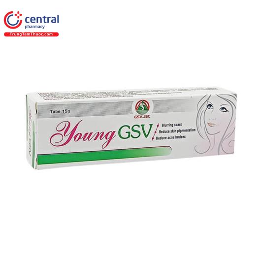 [CHÍNH HÃNG] Thuốc bôi Young GSV 15g - Giúp giảm thâm, mờ sẹo