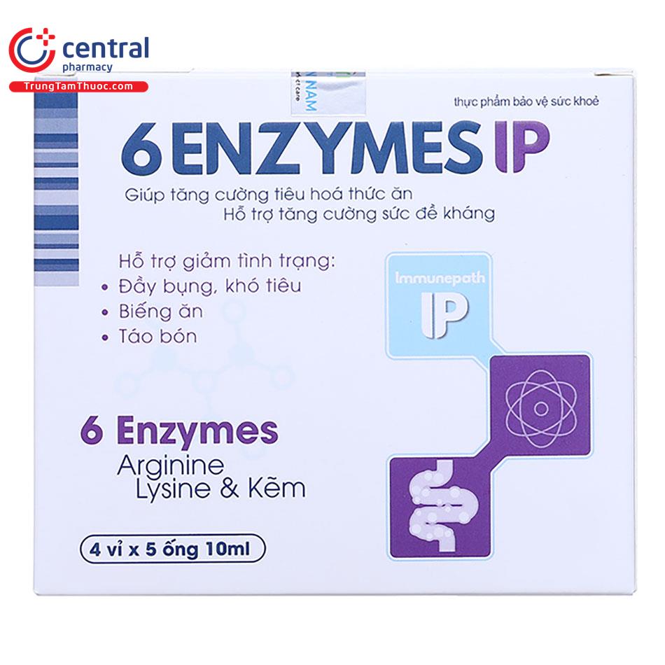 6 enzym ip 2 V8737