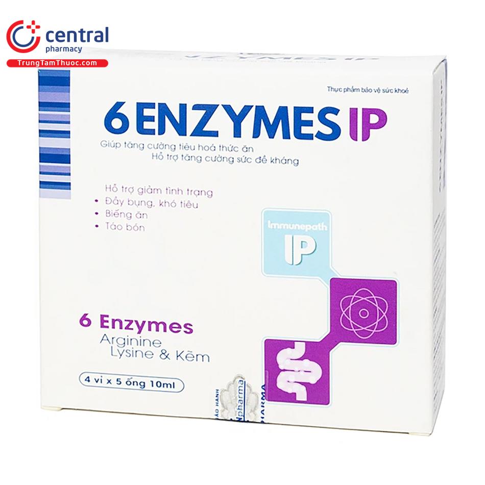 6 enzym ip 4 I3724