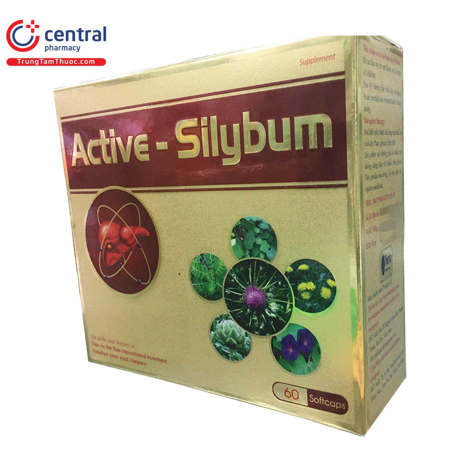 active silybum 03 V8024