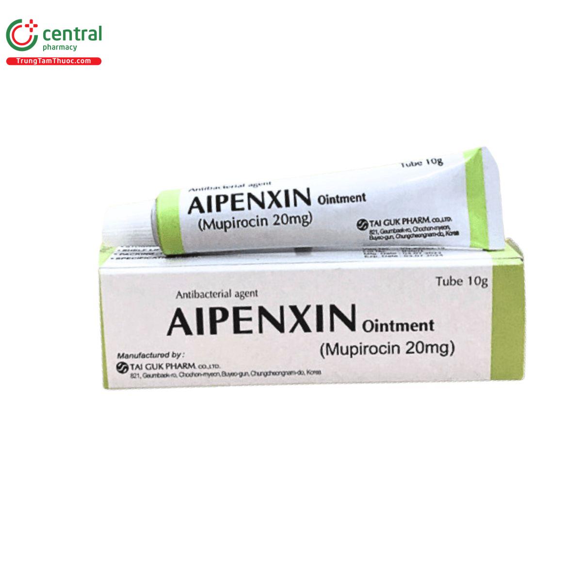 aipenxin ointment 1 A0685