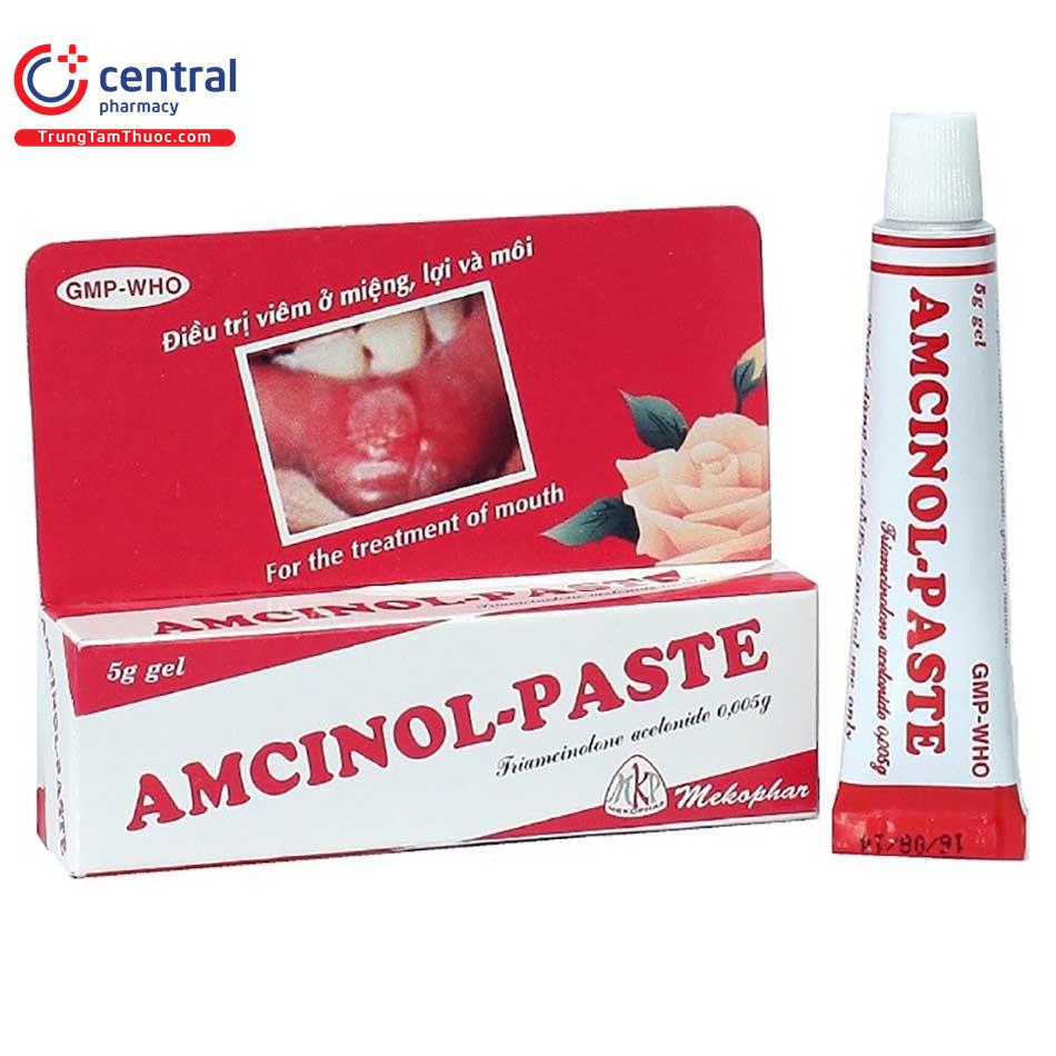 amcinol paste 1 A0056
