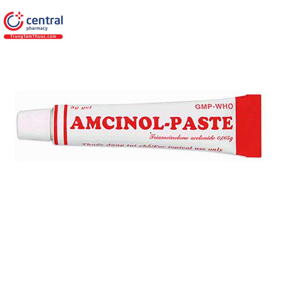 amcinol paste 5 P6823