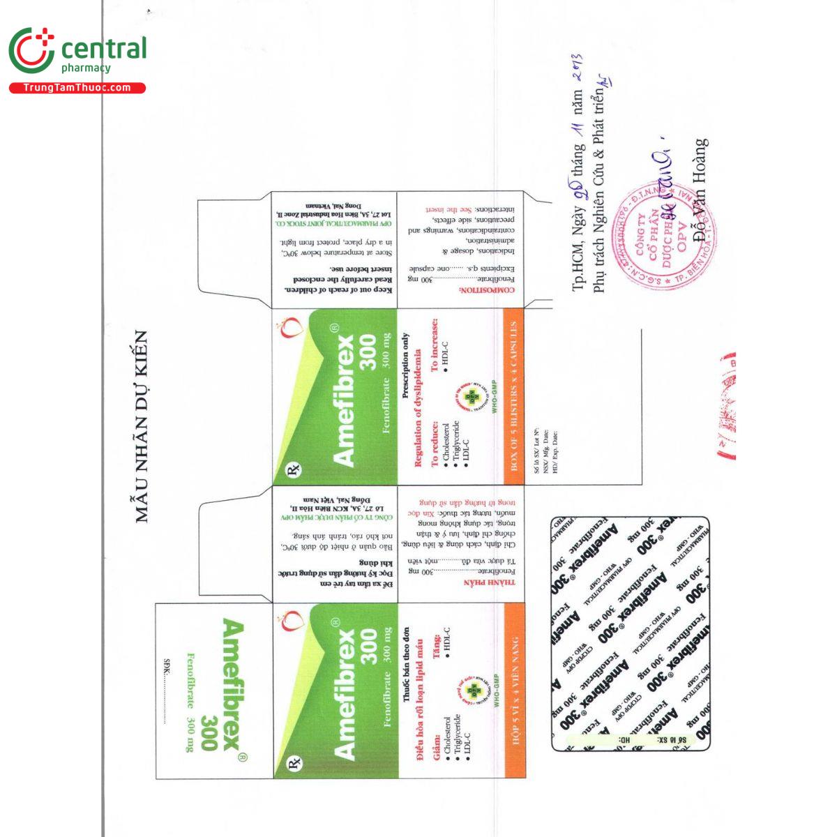 amefibrex 300 2 L4160 amefibrex 300 2 L4160