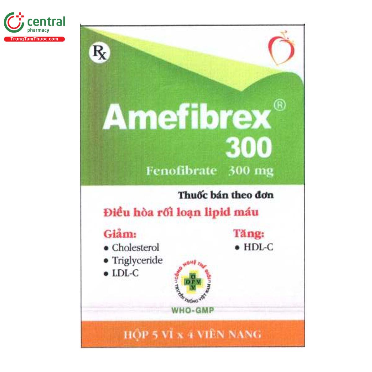 amefibrex 300 B0750 amefibrex 300 B0750