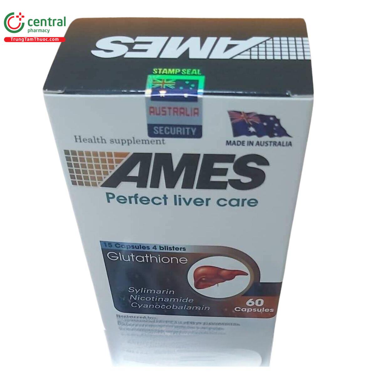 ames perfect liver care 4 L4717