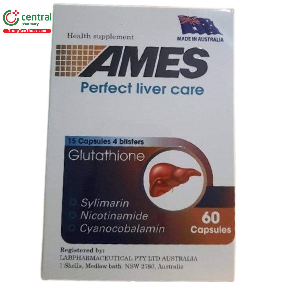 ames perfect liver care V8270