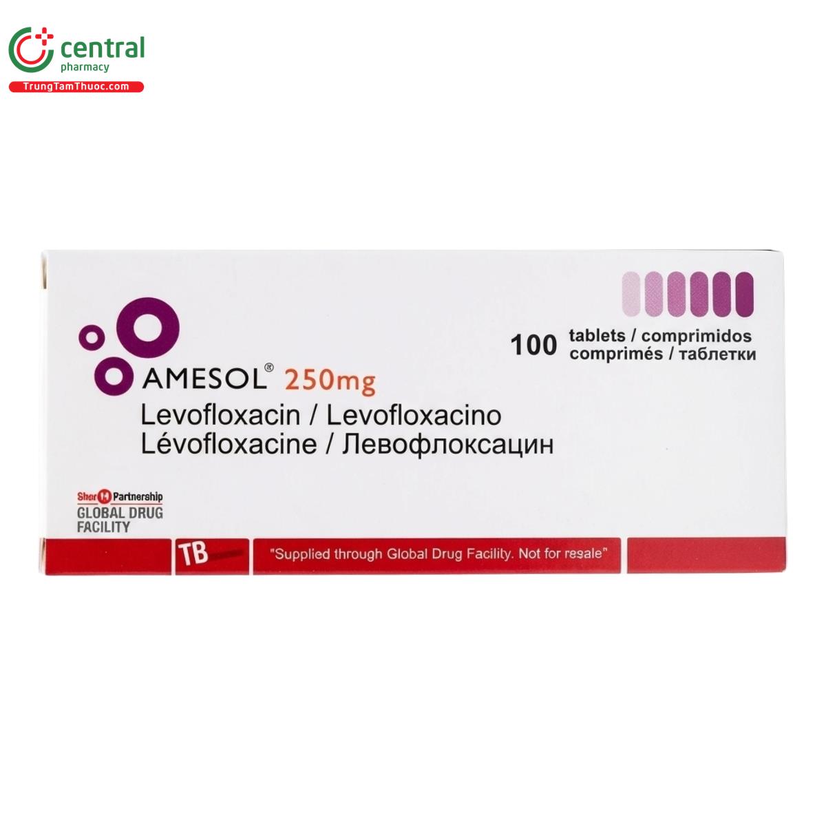 amesol 250mg 1 N5188