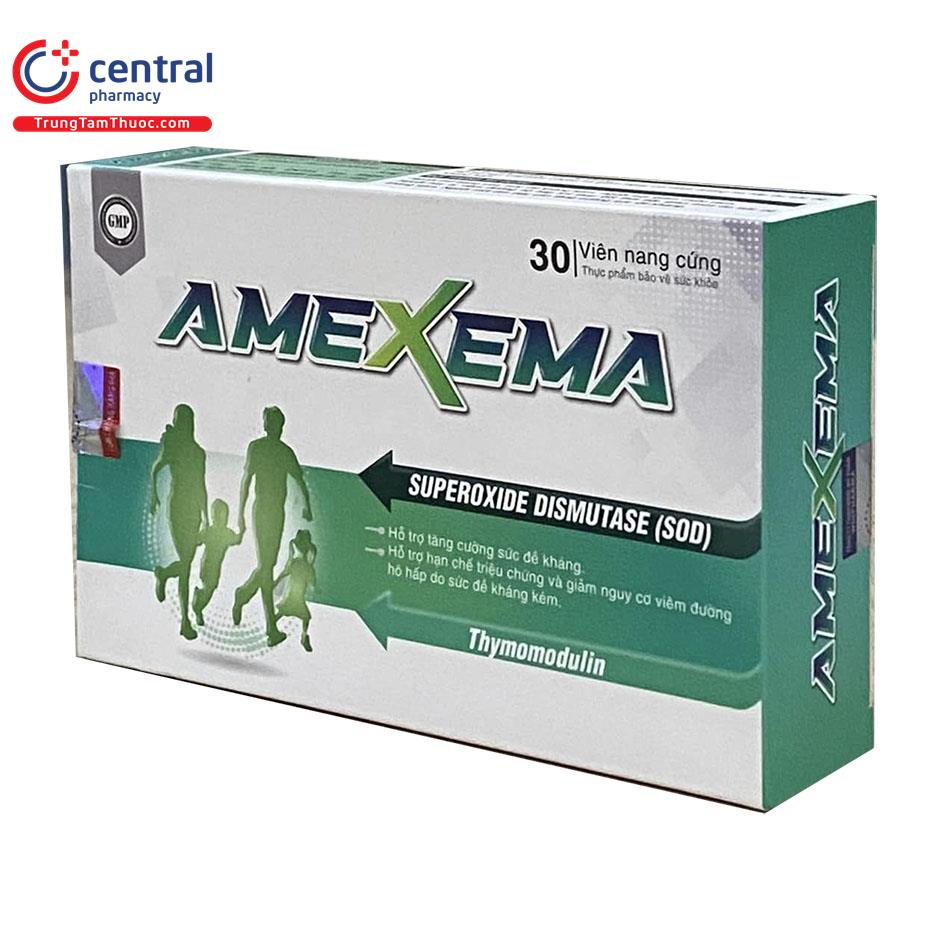 amexema 2 H3120