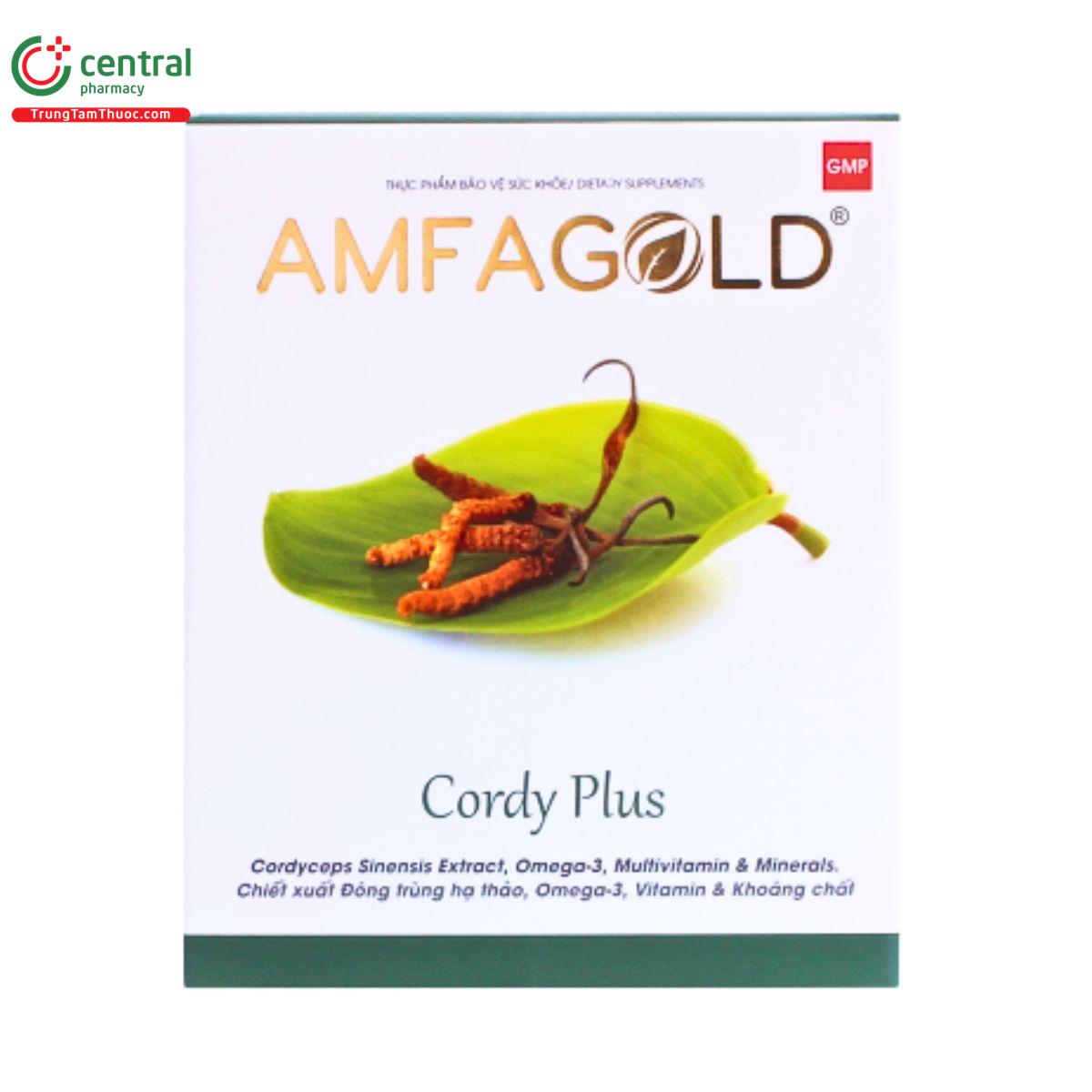 amfagold cordy plus 3 M4704 amfagold cordy plus 3 M4704