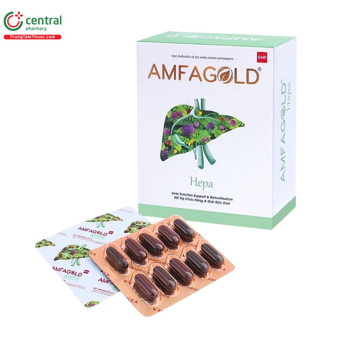 amfagold hepa 2 G2151