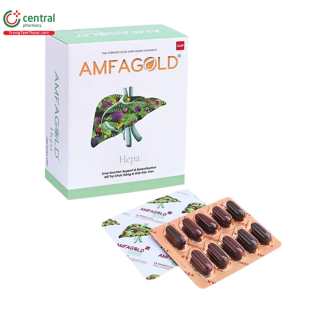 amfagold hepa 3 H3238
