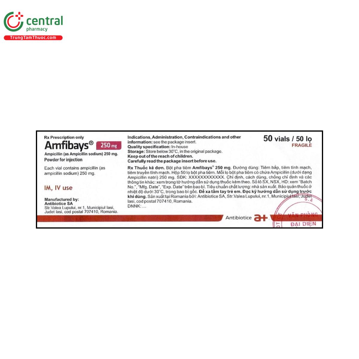 amfibays 250mg 1 M5357