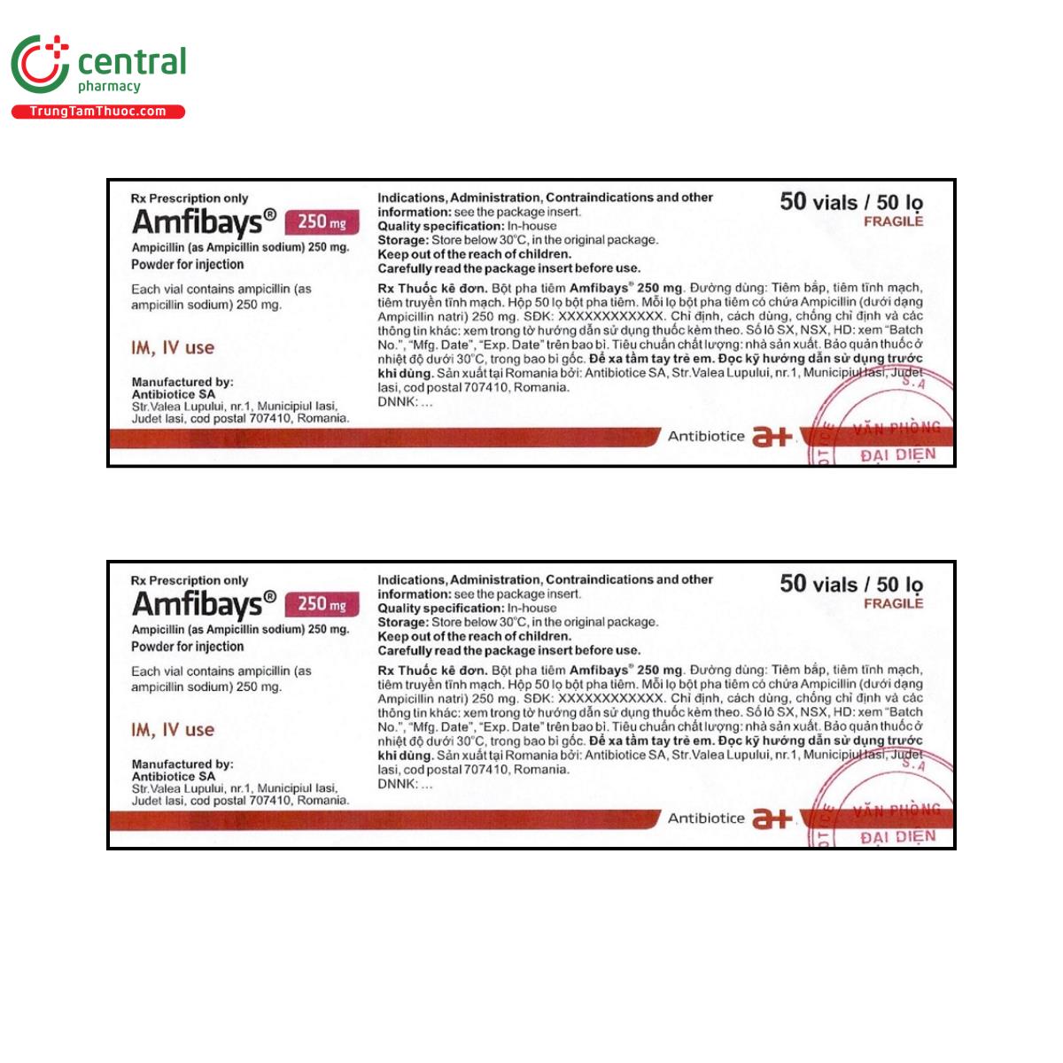 amfibays 250mg 2 E1618