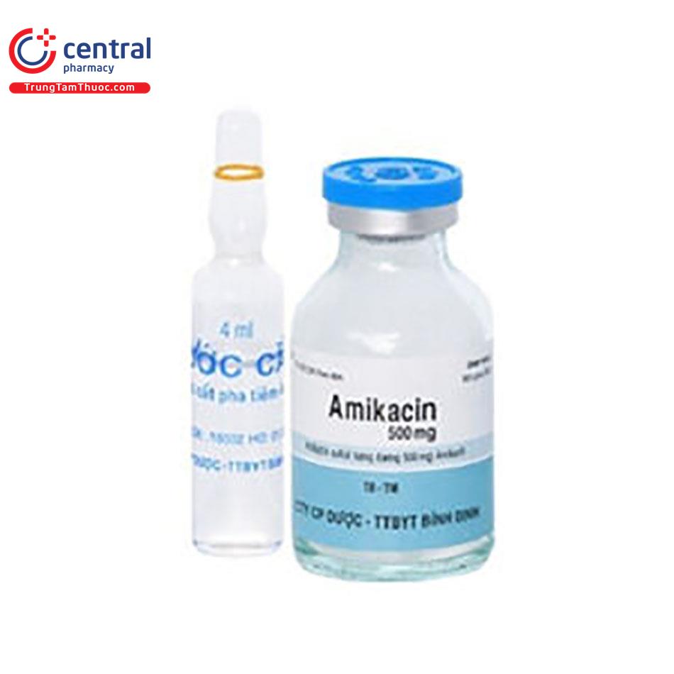 amikacin 500mg 3 H2603