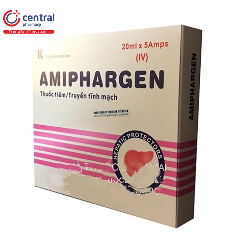 amiphargen 2 Q6003