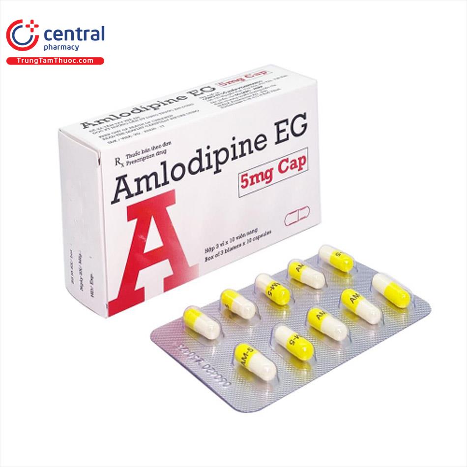 Amlodipine EG 5mg Cap hạ huyết áp, giảm đau thắt ngực