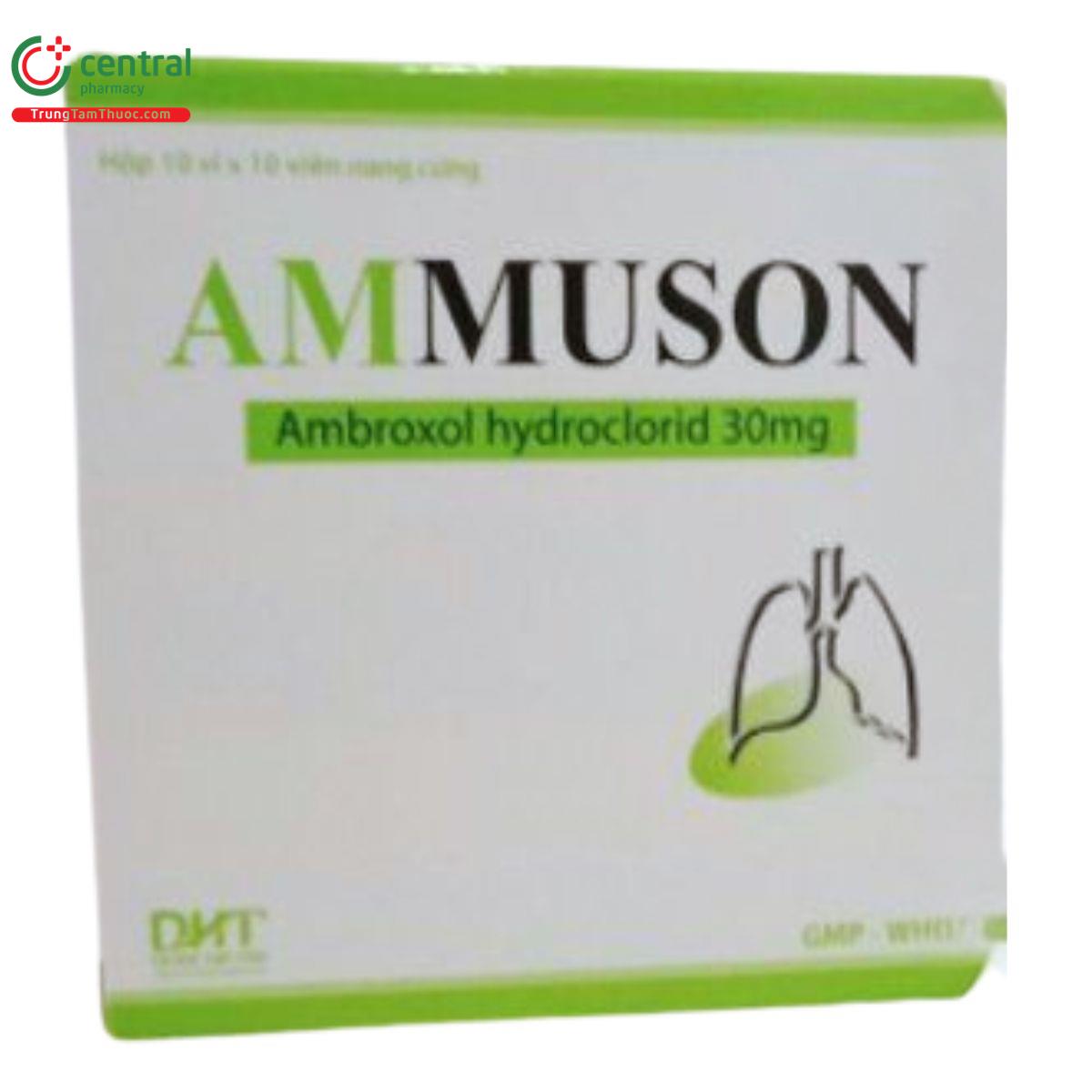 ammuson 1 D1121