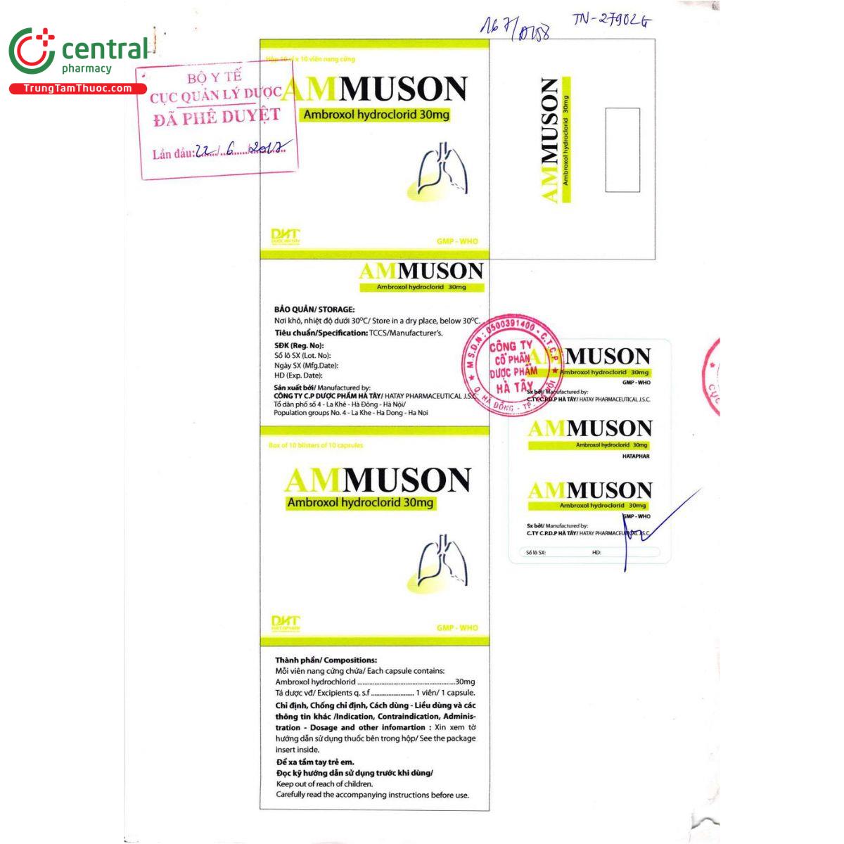 ammuson 3 D1014