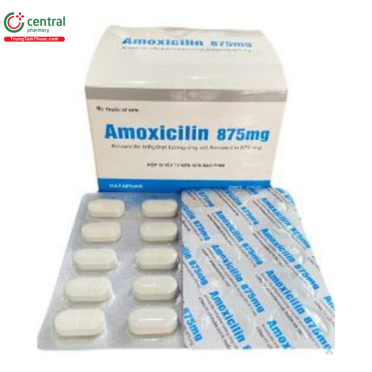 amoxicilin 875 mg 2 M5556