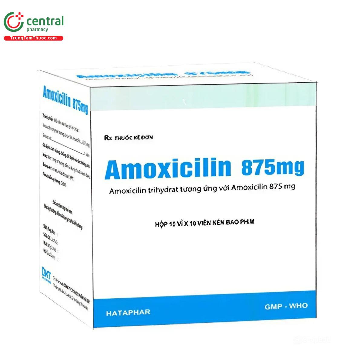 amoxicilin 875 mg 3 J3856