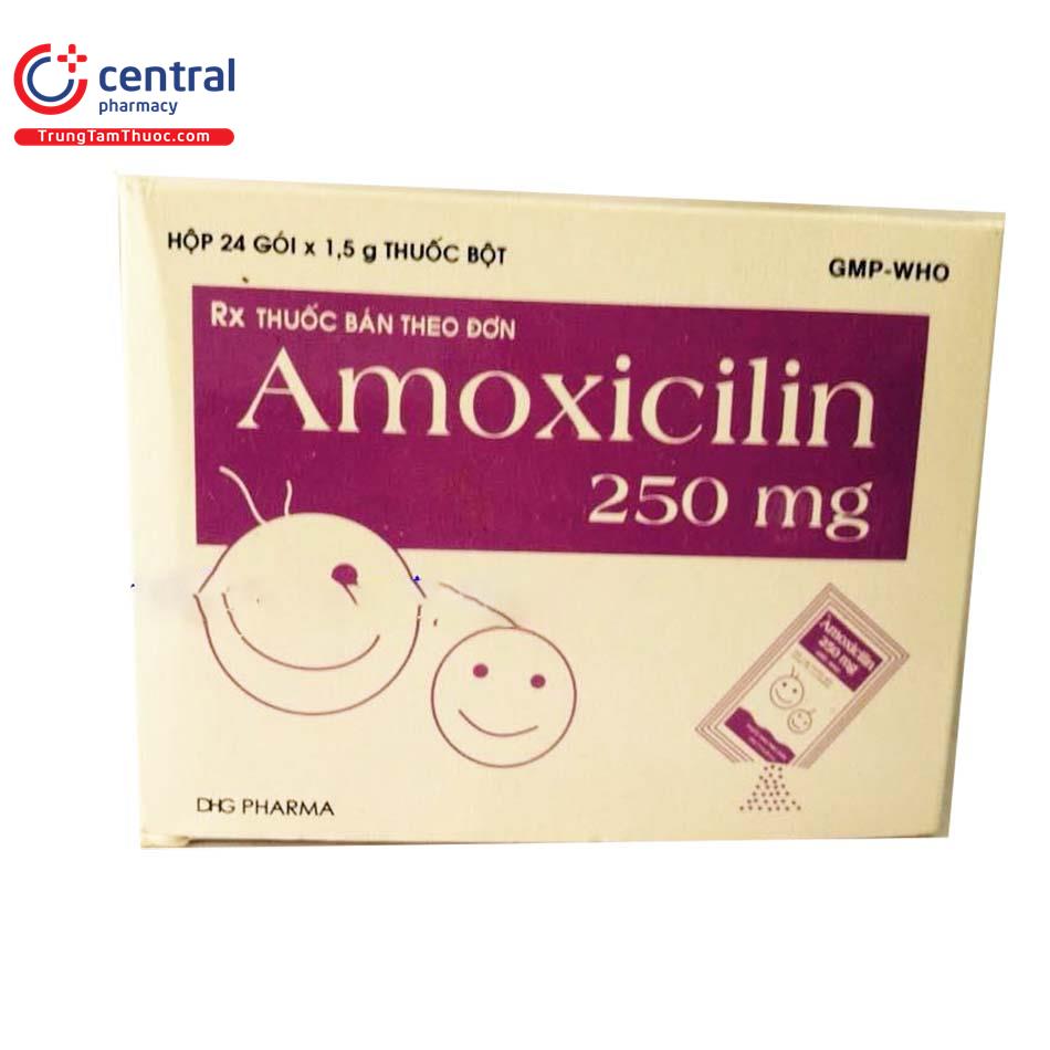 amoxicillin 250mg dhg P6123