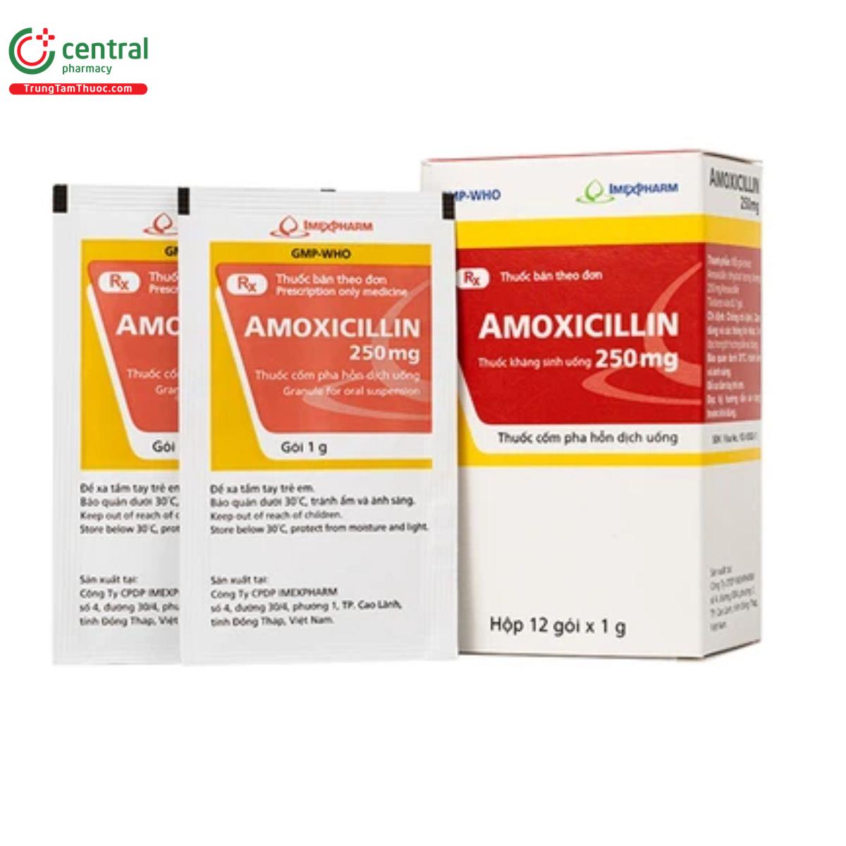 amoxicillin 250mg imexpharm 2 M4665