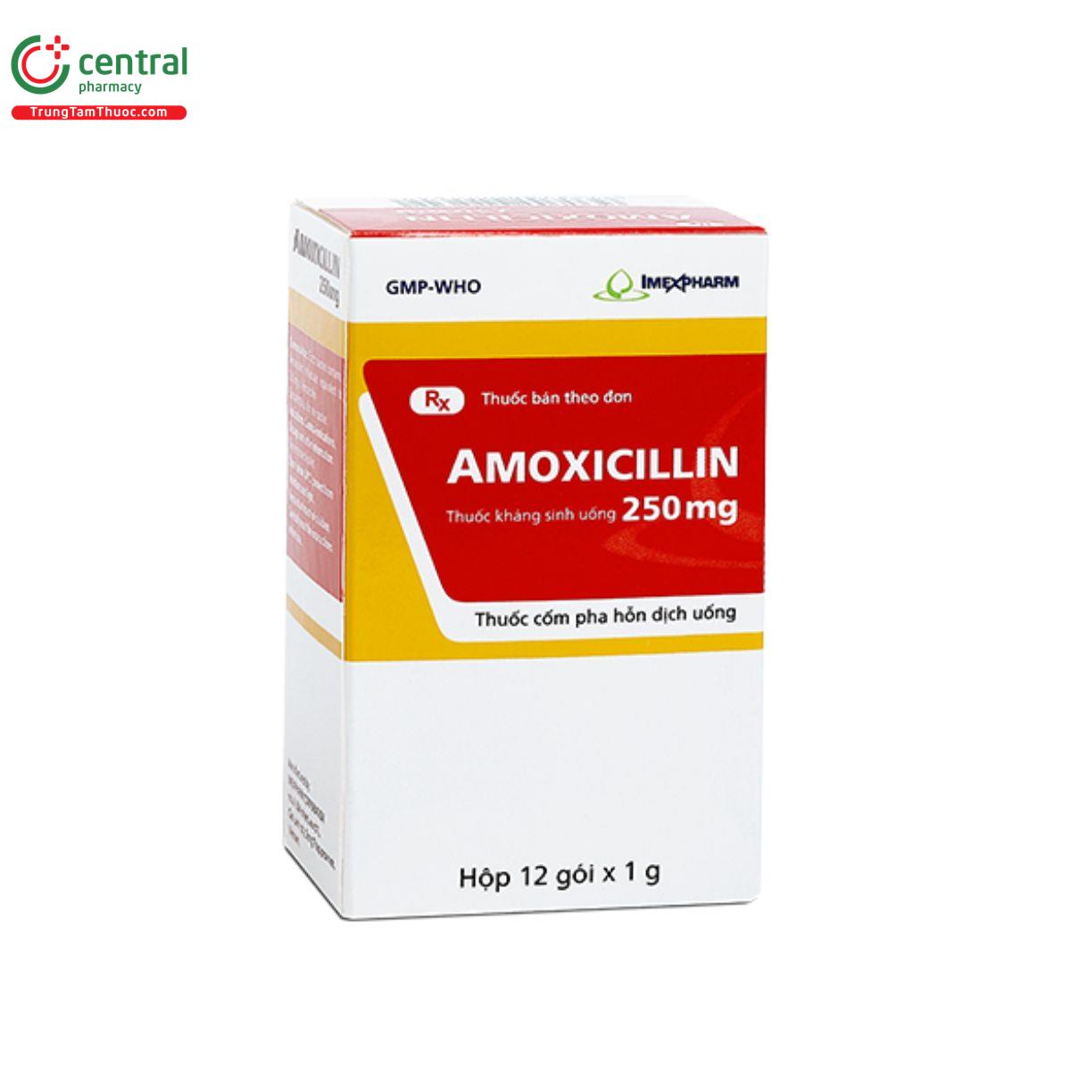 amoxicillin 250mg imexpharm 3 E2054