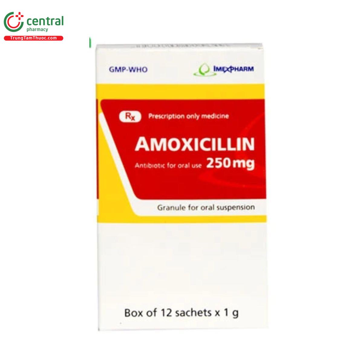 amoxicillin 250mg imexpharm 4 N5680