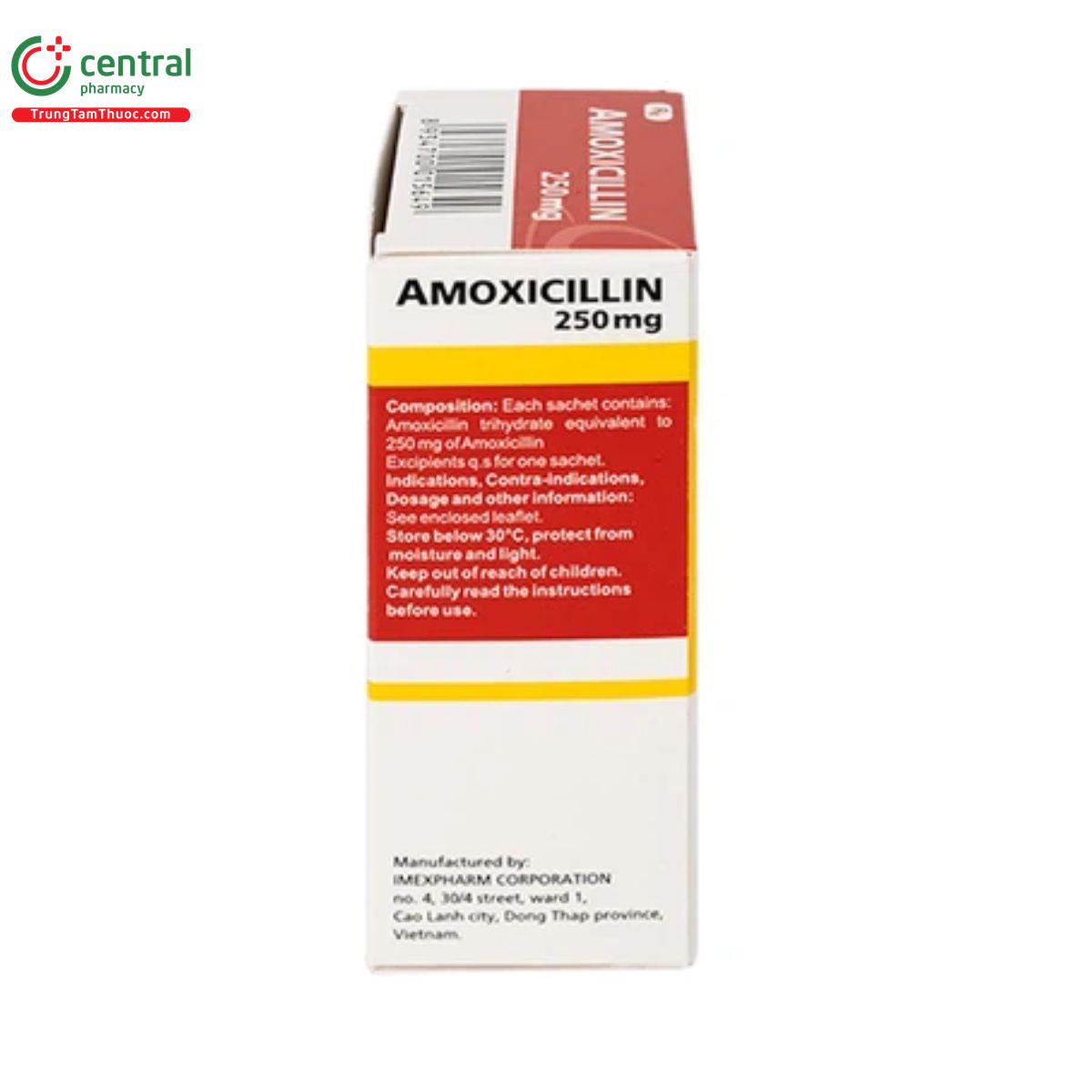 amoxicillin 250mg imexpharm 6 H2447