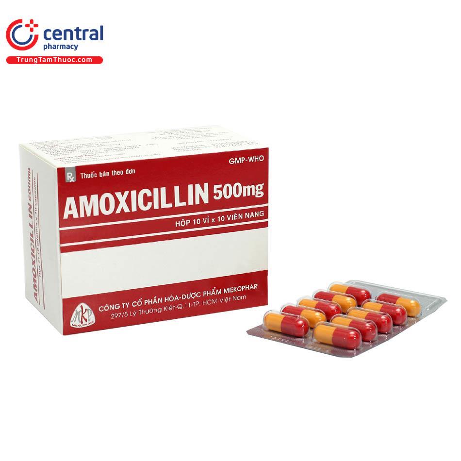 amoxicillin 500 mg mkp 1 C1742